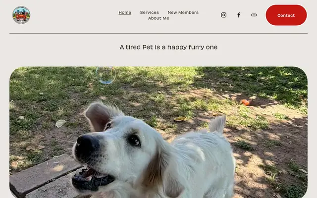 Homepage of 4 the Furry Ones (AZ) – cat sitter in Arizona