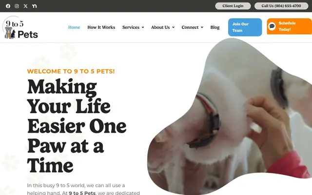 Homepage of 9 to 5 Pets – cat sitter in Florida