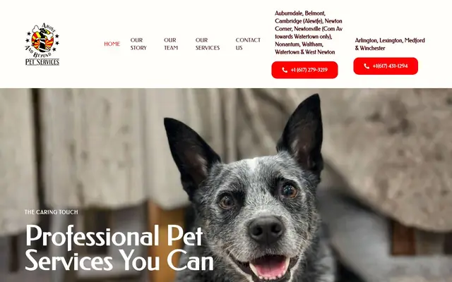 Homepage of Above & Beyond Pet Services – cat sitter in Belmont, MA