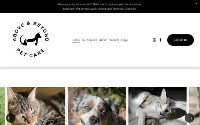 Homepage of Above and Beyond Pet Care, Inc. – cat sitter in La Mesa, CA