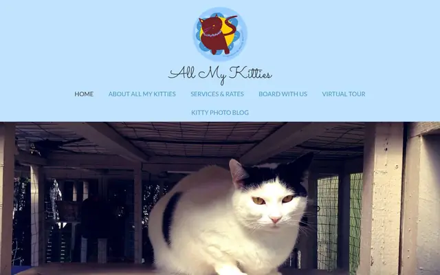 Homepage of All My Kitties Catboarding – cat sitter in Washington