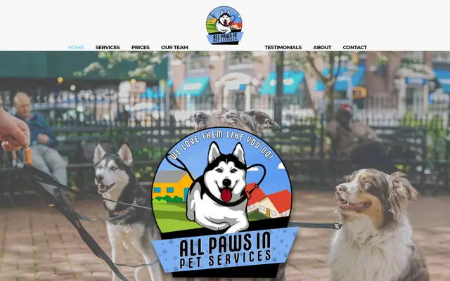 Homepage of All Paws In – cat sitter in Merrimack, NH