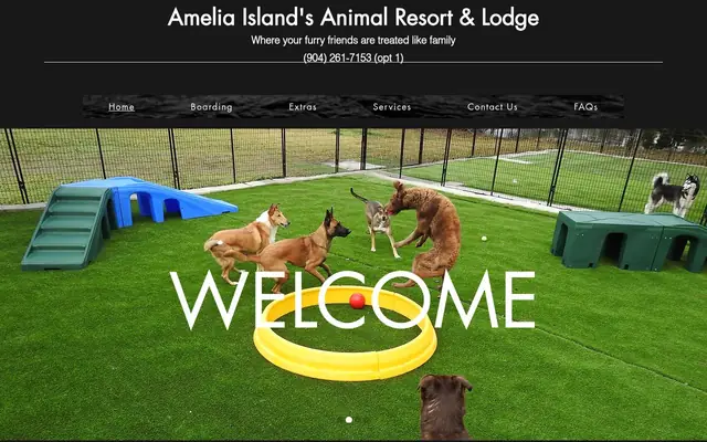 Homepage of Amelia Island's Animal Resort and Lodge – cat sitter in Fernandina Beach, FL
