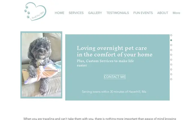 Homepage of Andi Pet Sits – cat sitter in Salem, MA