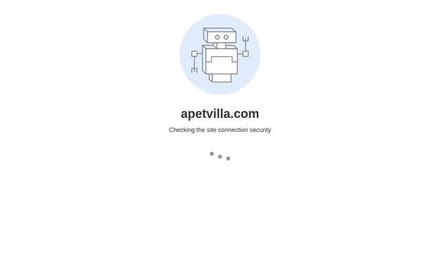 Homepage of A Pet Villa Pet Boarding Daycare and Grooming – cat sitter in Santa Clara, CA