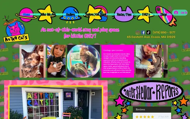 Homepage of AstroCats Cosmic Feline Lounge – cat sitter in Essex, MA