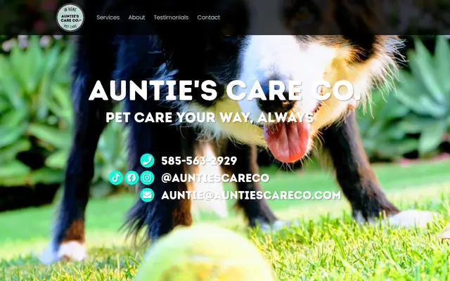 Homepage of Auntie's Care Co. – cat sitter in Rochester, NY