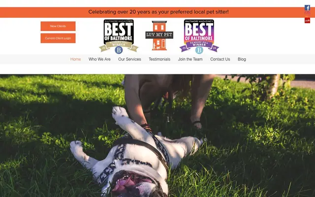 Homepage of Luv My Pet – cat sitter in Baltimore, MD