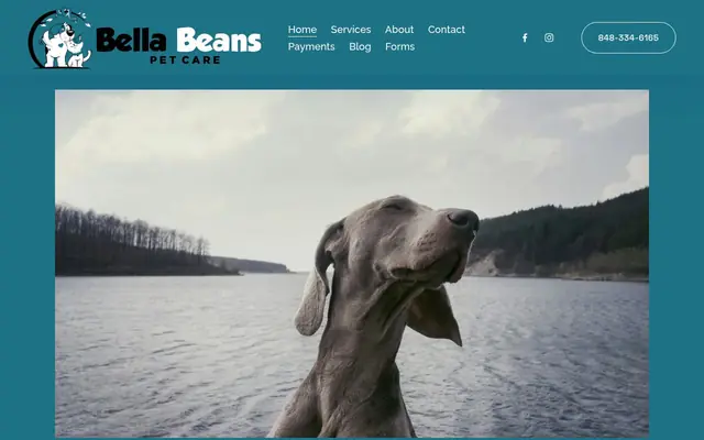 Homepage of Bella Beans Pet Care – cat sitter in New Jersey