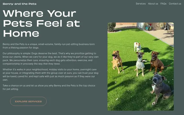 Homepage of Benny and the Pets LLC – cat sitter in Tucson, AZ