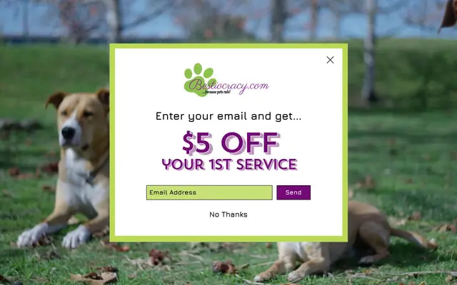Homepage of Bestiocracy – cat sitter in Kingston, MA