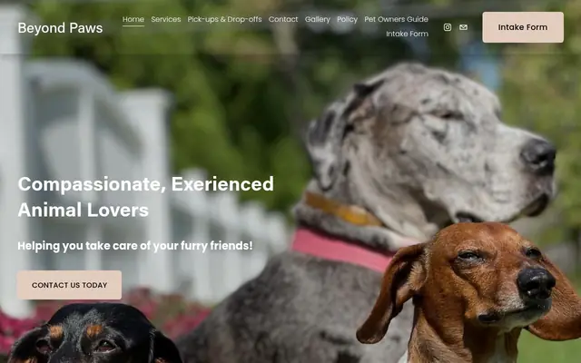 Homepage of Beyond paws – cat sitter in East Haven, CT