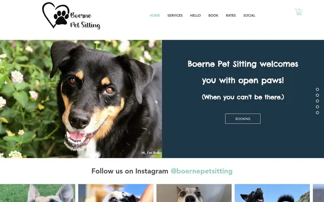Homepage of Boerne Pet Sitting – cat sitter in Leon Valley, TX