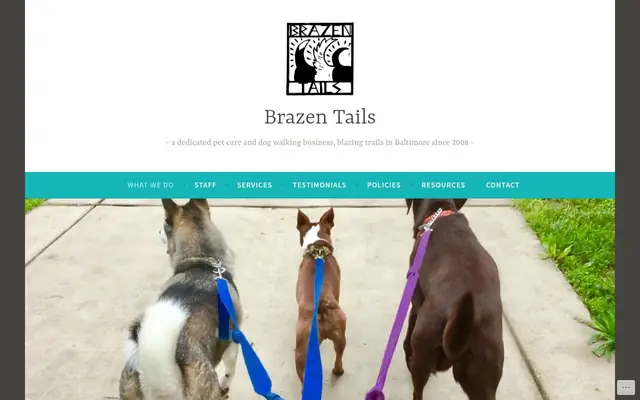 Homepage of Brazen Tails – cat sitter in Baltimore, MD