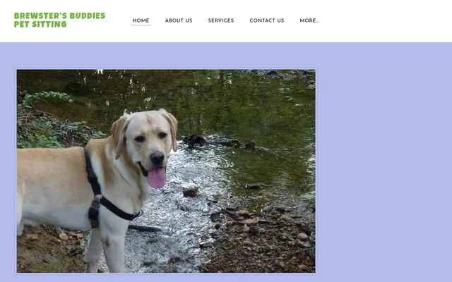 Homepage of Brewster's Buddies Pet Sitting – cat sitter in Joppatowne, MD