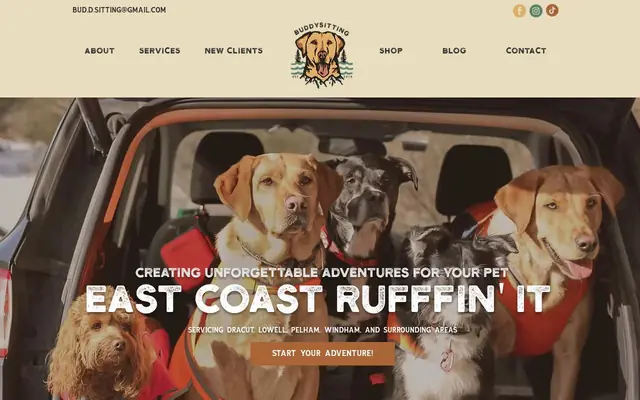 Homepage of Buddy Sitting – cat sitter in Merrimack, NH