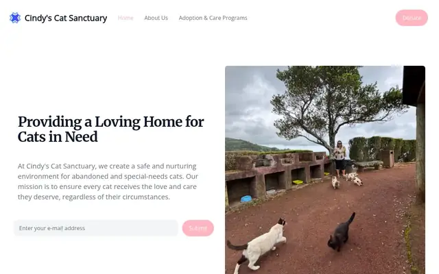 Homepage of cindys cat sanctuary – cat sitter in Tiverton, RI
