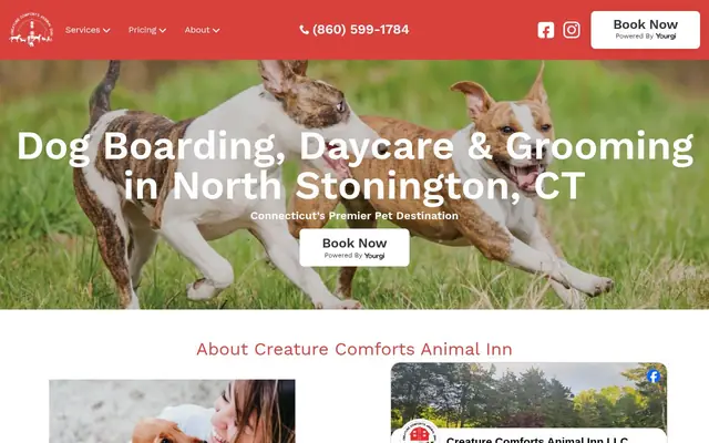 Homepage of Creature Comforts Animal Inn – cat sitter in North Stonington, CT
