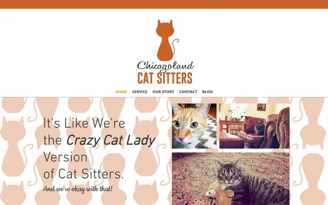 Homepage of Chicagoland Cat Sitters – cat sitter in Chicago, IL