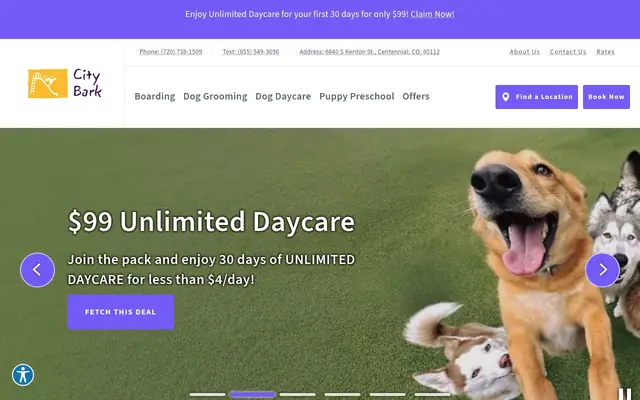 Homepage of City Bark Centennial – cat sitter in Centennial, CO