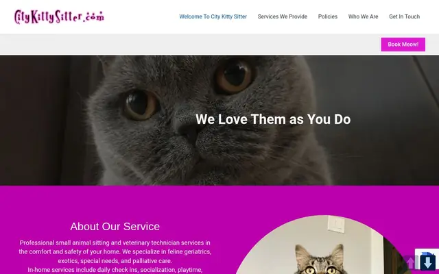 Homepage of City Kitty Sitter – cat sitter in Denver, CO