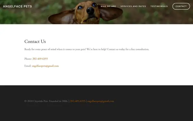 Homepage of Angelface Pets – cat sitter in Baltimore, MD