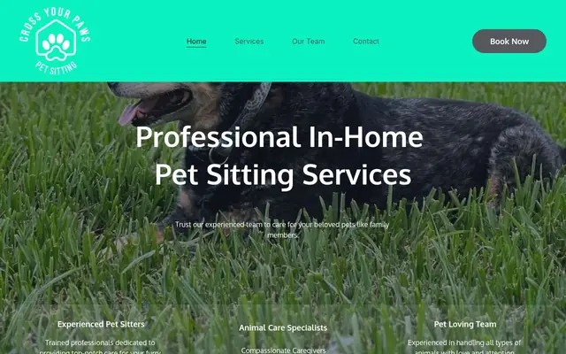 Homepage of Cross Your Paws – cat sitter in Jacksonville, FL