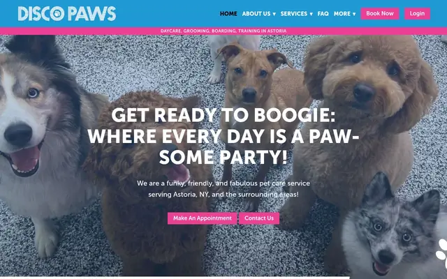 Homepage of Disco Paws – cat sitter in Astoria, NY
