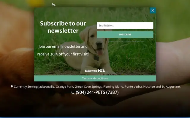 Homepage of Dog Days & Cat Naps Pet Sitting & Dog Walking – cat sitter in Florida