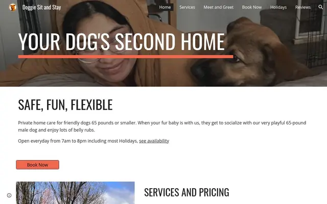 Homepage of Doggie Sit and Stay – cat sitter in Allentown, PA