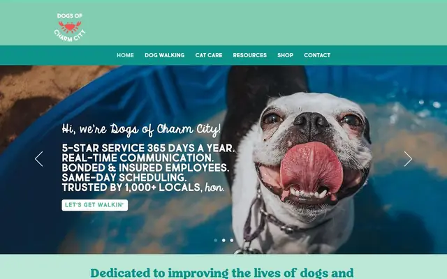 Homepage of Cats of Charm City – cat sitter in Maryland