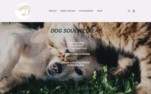Homepage of Dog Soul Retreat – cat sitter in Aurora, CO