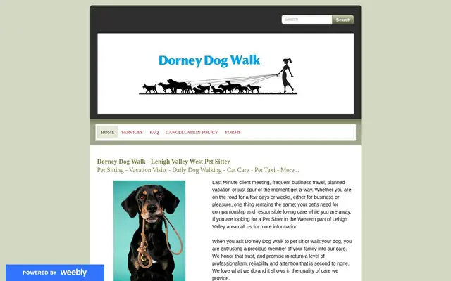 Homepage of Dorney Dog Walk – cat sitter in Allentown, PA