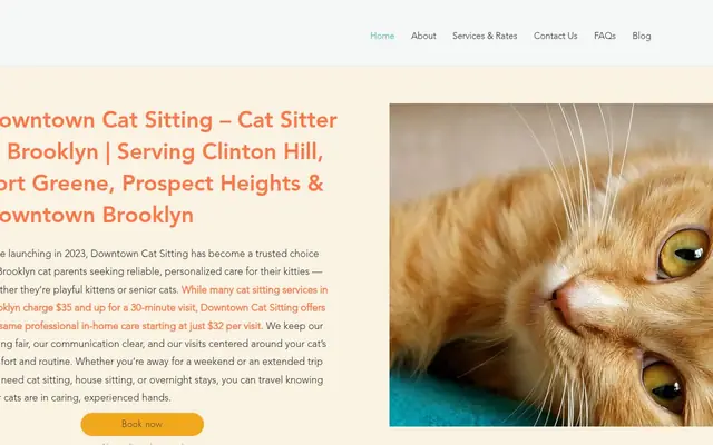 Homepage of Downtown Cat Sitting : Cat Sitter in Brooklyn – cat sitter in Brooklyn, NY