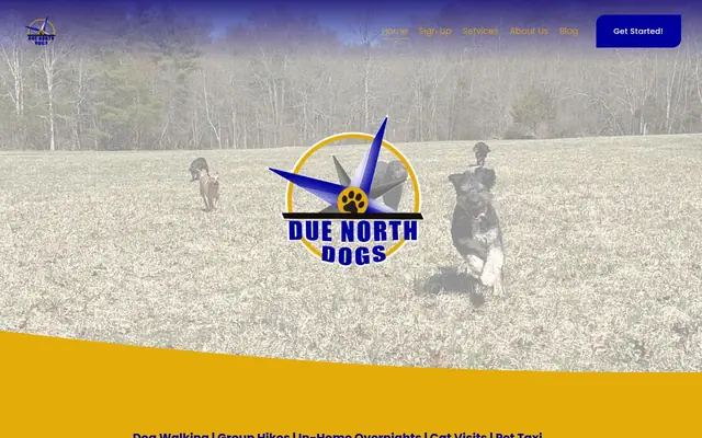 Homepage of Due North Dogs – cat sitter in Kingston, MA