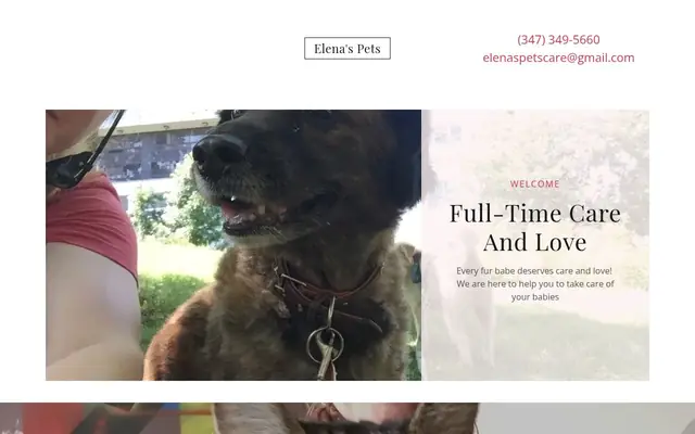 Homepage of Elena's Pets – cat sitter in New York, NY