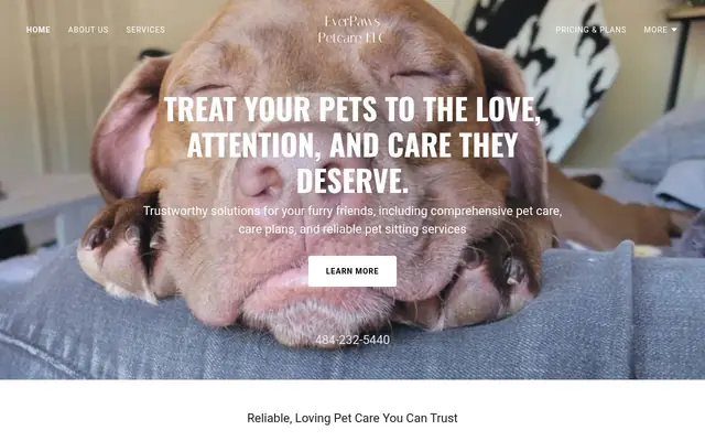 Homepage of EverPaws Petcare LLC – cat sitter in Norristown, PA