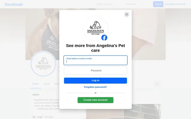 Homepage of Angelina's Pet care – cat sitter in Center Moriches, NY