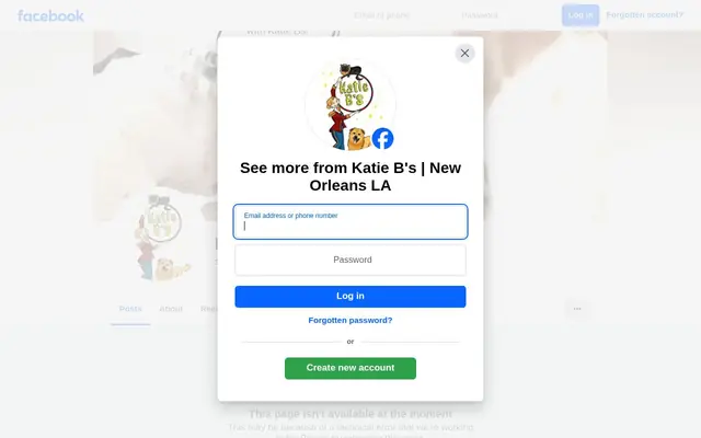 Homepage of Katie B’s – cat sitter in Louisiana