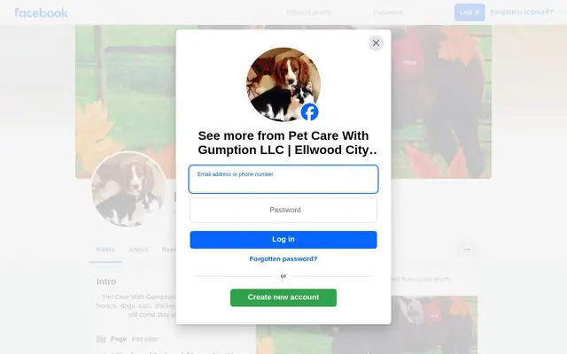 Homepage of Pet Care with Gumption LLC – cat sitter in Ellwood City, PA