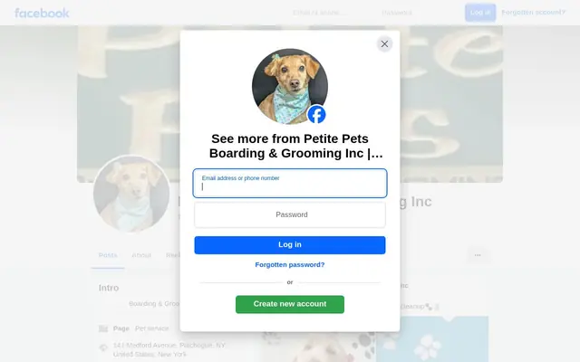 Homepage of Petite Pets Boarding & Groomering – cat sitter in Patchogue, NY