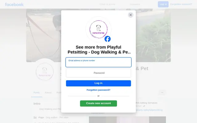 Homepage of Playful Petsitting, LLC – cat sitter in Lake Hopatcong, NJ
