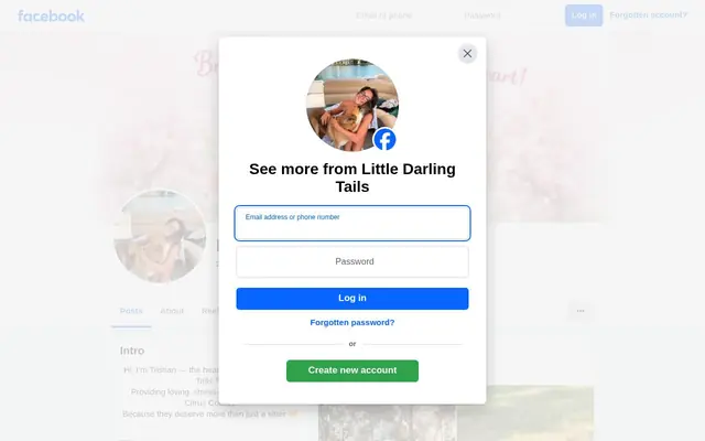 Homepage of Little Darling Tails – cat sitter in Dunnellon, FL