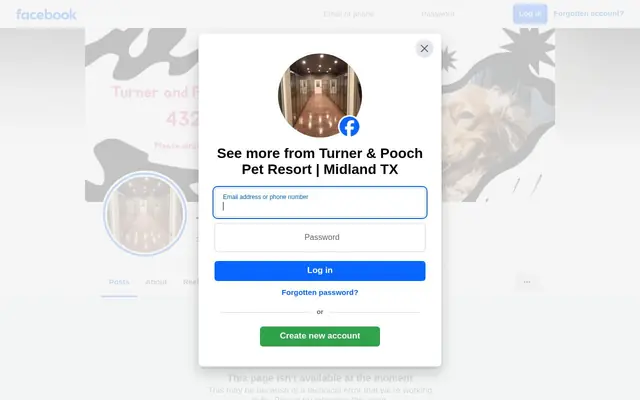 Homepage of Turner & Pooch Pet Resort – cat sitter in Midland, TX