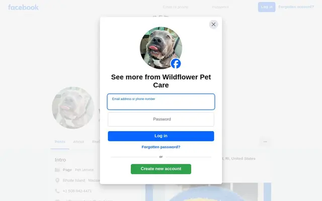 Homepage of Wildflower Pet Care – cat sitter in Exeter, RI
