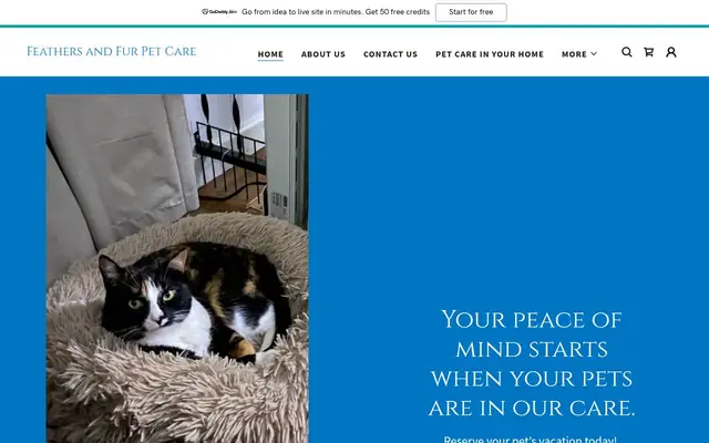Homepage of Feathers and Fur Pet Care – cat sitter in Belchertown, MA