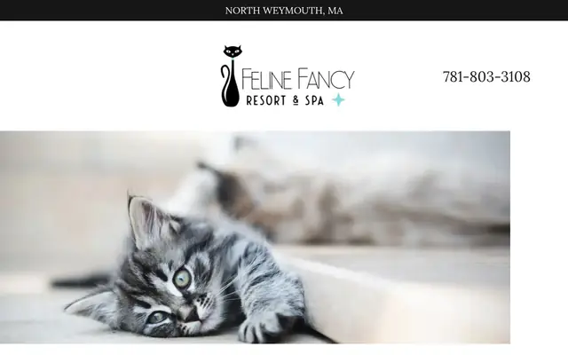 Homepage of Feline Fancy Resort & Spa – cat sitter in Weymouth, MA