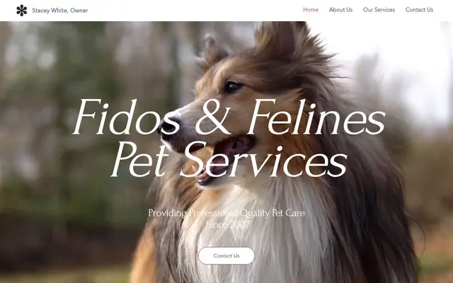 Homepage of Fidos & Felines Pet Services – cat sitter in San Antonio, TX