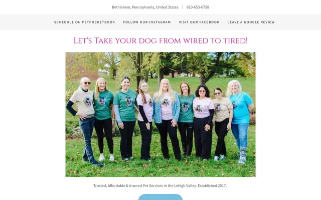 Homepage of From Wired to Tired Pet Services – cat sitter in Allentown, PA
