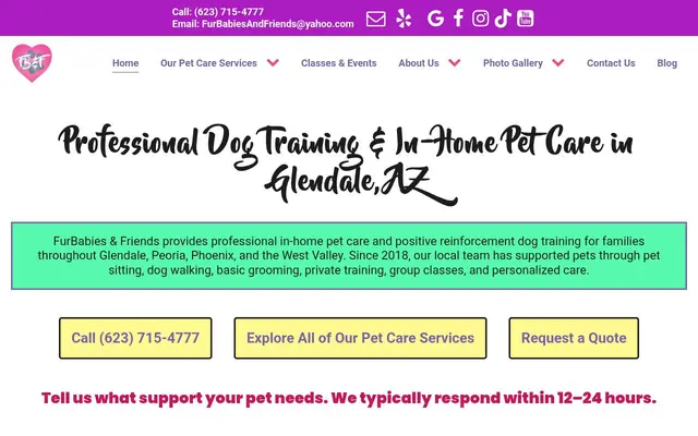 Homepage of FurBabies & Friends – cat sitter in Glendale, AZ